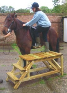 Horse mounting platform