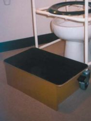 Step stool for toilet