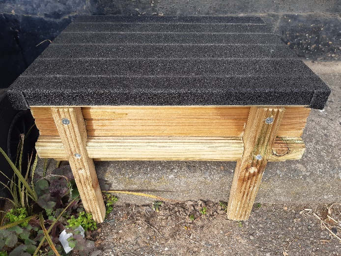 Graduated Access Steps - REMAP
